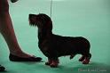 Crufts2011_2 866